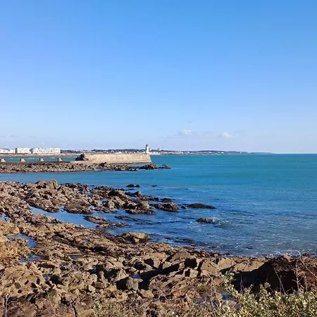 Grand Bleu - Joli Vue Océan&côte Sauvage - Piscine *